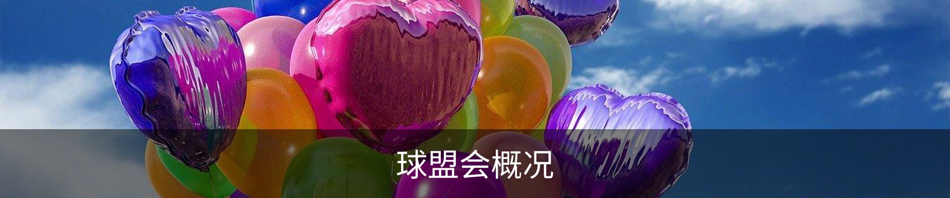 球盟会概况